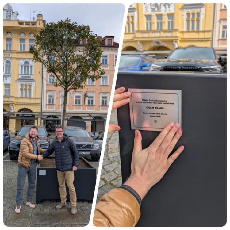 Strom pro Budějovice